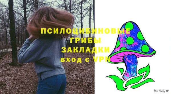 Альфа ПВП Алзамай