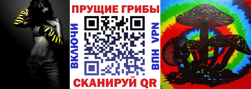 Купить где  Усть-Лабинск  Псилоцибиновые грибы мицелий 